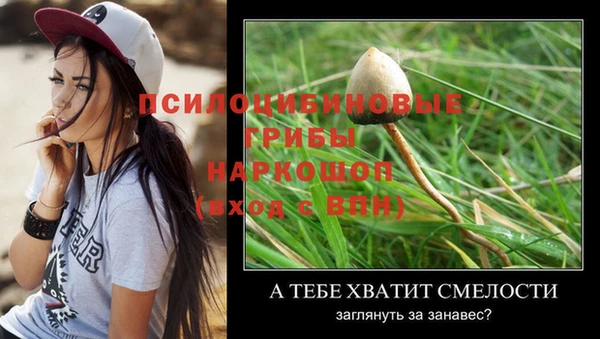 кокс Протвино