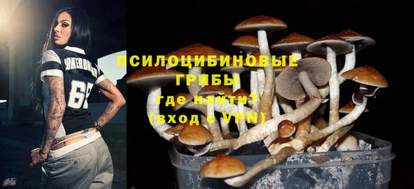 хмурый Приозерск
