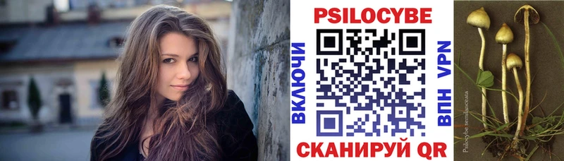 Псилоцибиновые грибы мицелий  нарко площадка состав  Калтан 